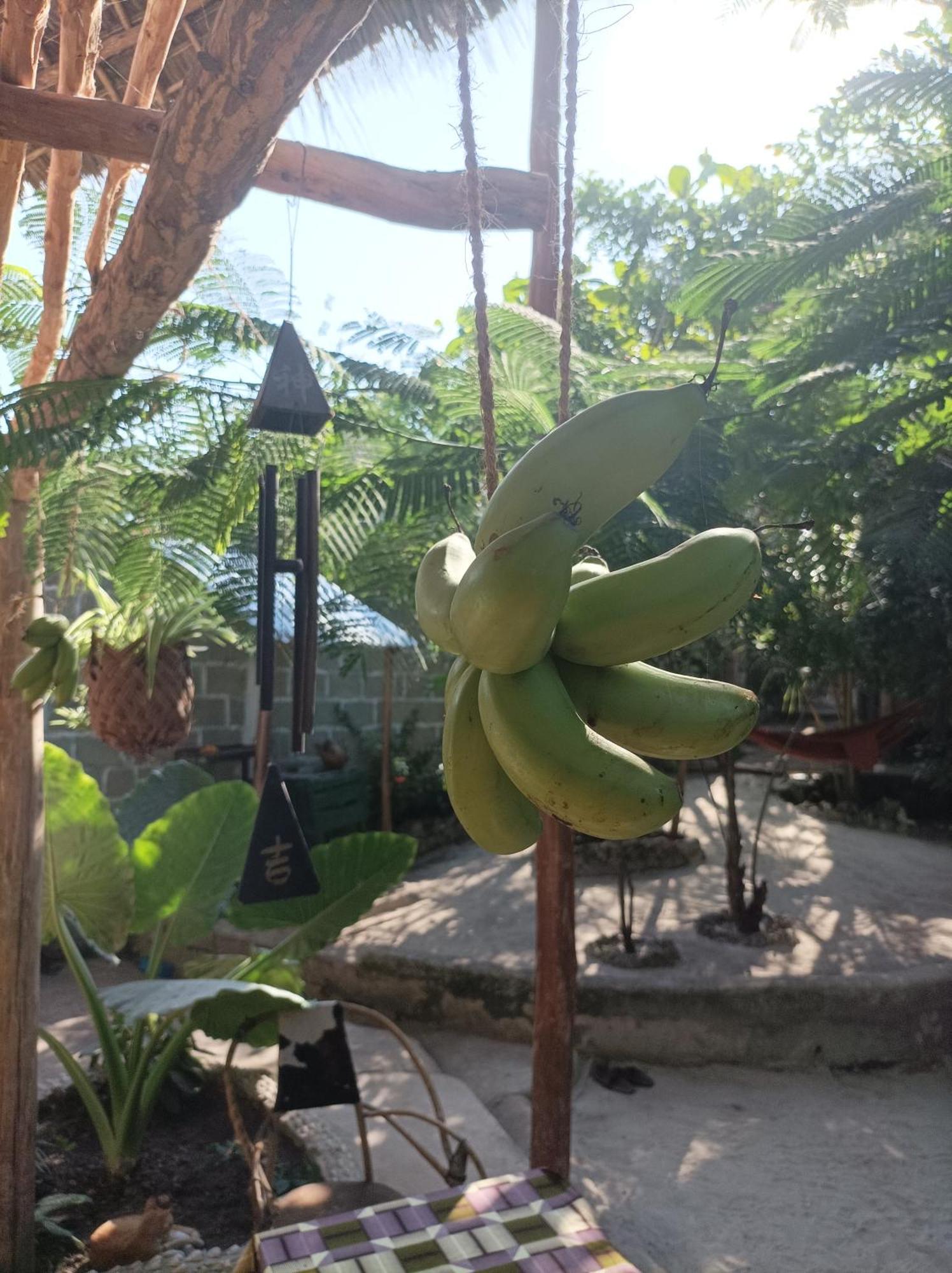 Bed and Breakfast Mamarasta Bwejuu Exterior foto